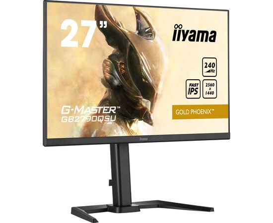  Монитор Iiyama GB2790QSU-B5 IPS черный 27" HDMI DP USB M/M HAS 240Hz 400cd In 