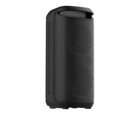  Портативная колонка SOUNDMAX SM-MS4210 черный 